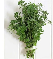 Oregano (bunch)