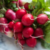 Radishes (Bunch)