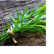 Tarragon (Bunch)