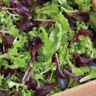 Lettuce Mix (8 oz Bag)
