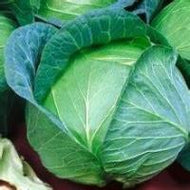Tendersweet Cabbage (Each)