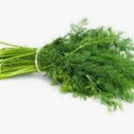 Dill (Leaf) (Bunch)
