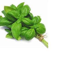 Basil (Bunch)