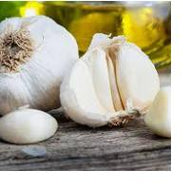 Fresh Garlic (Each)