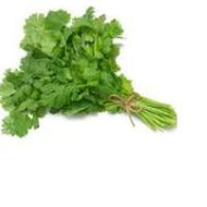 Cilantro (Bunch)